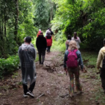 DIA DA MULHER (8) NO PARQUE DA CEREJEIRA CAMPOS DO JORDÃO TERÁ ATIVIDADES DE SAÚDE E BEM-ESTAR