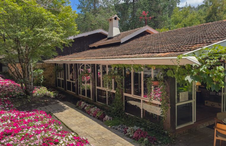 Casa Bambuí terá oficinas gratuitas de pintura de biscoitos natalinos para crianças
